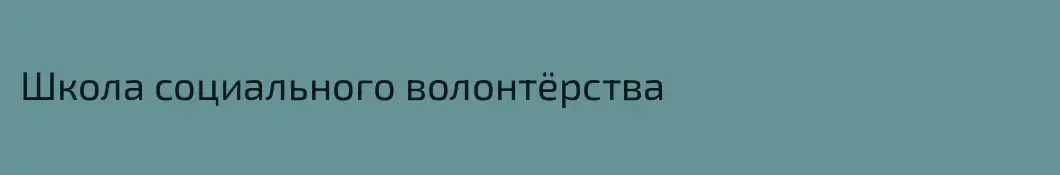 Школа социального волонтёрства